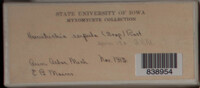Image Associated With the Occurence